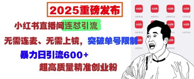 2025重磅发布：小红书直播间连怼引流，无需连麦、无需上镜，突破单号限制，暴力日引流600+-数屿科技资源网