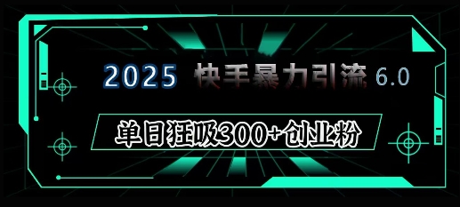 2025年快手6.0保姆级教程震撼来袭，单日狂吸300+精准创业粉-数屿科技资源网