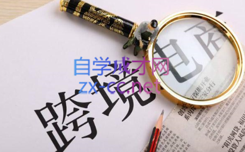 帮课大学VIP会员课程(更新2025年)-数屿科技资源网