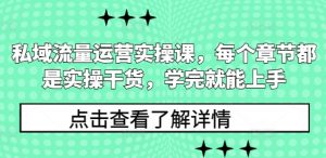 私域流量运营实操课，每个章节都是实操干货，学完就能上手-数屿科技资源网