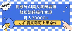 视频号蓝海赛道玩法，当天起号，拉爆流量收益，小白也能轻松月入30000+-数屿科技资源网