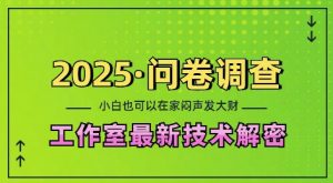 2025问卷调查最新工作室技术解密：一个人在家也可以闷声发大财，小白一天2张，可矩阵放大【揭秘】-数屿科技资源网