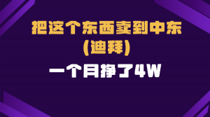 跨境电商一个人在家把货卖到迪拜，暴力项目拆解-数屿科技资源网