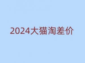 2024版大猫淘差价课程，新手也能学的无货源电商课程-数屿科技资源网