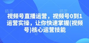 视频号直播运营，视频号0到1运营实操，让你快速掌握(视频号)核心运营技能-数屿科技资源网