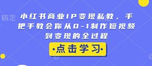 小红书商业IP变现私教，手把手教会你从0-1制作短视频到变现的全过程-数屿科技资源网