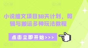 小说推文项目38天计划，剪辑与搬运多种玩法教程-数屿科技资源网
