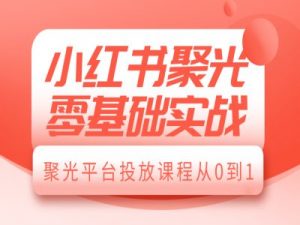 小红书聚光零基础实战，聚光平台投放课程从0到1-数屿科技资源网