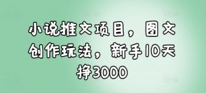 小说推文项目，图文创作玩法，新手10天挣3000-数屿科技资源网