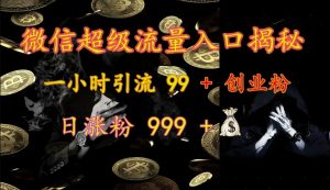 微信超级流量入口揭秘:一小时引流 99 + 创业粉,日涨粉 999 +-数屿科技资源网