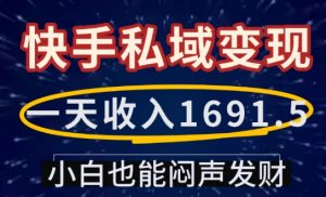 一天收入1691.5,快手私域变现,小白也能闷声发财-数屿科技资源网