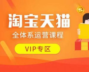 淘宝天猫全体系运营课程：店铺全系运营、动销玩法、付费推广、流量提升、擦边球玩法等等-数屿科技资源网