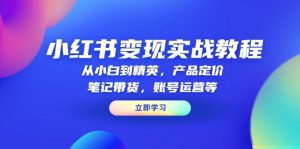 小红书变现实战教程：从小白到精英，产品定价，笔记带货，账号运营等-数屿科技资源网