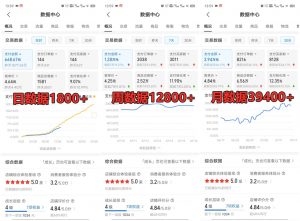 拼多多虚拟店铺项目,电脑挂机自动发货,单店日利润300+-数屿科技资源网