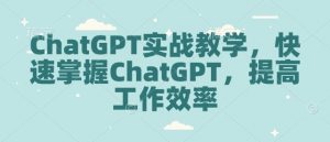 ChatGPT实战教学，快速掌握ChatGPT，提高工作效率-数屿科技资源网