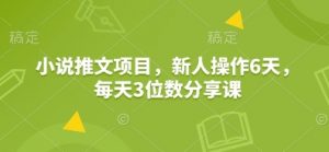 小说推文项目,新人操作6天,每天3位数分享课-数屿科技资源网