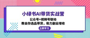 小绿书AI带货实战营:公众号+视频号联动,教会你选品带货,助力副业增收-数屿科技资源网