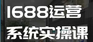 1688高阶运营系统实操课，快速掌握1688店铺运营的核心玩法-数屿科技资源网