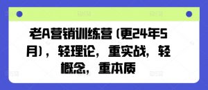 老A营销训练营(更25年1月),轻理论,重实战,轻概念,重本质-数屿科技资源网