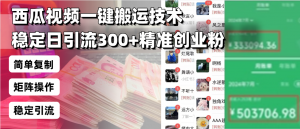 西瓜视频一键搬运技术，稳定日引流300+精准创业粉，简单可复制给团队，...-数屿科技资源网