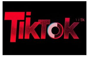 TikTok ads投流秘籍，涵盖tiktok整体投放思路，教你搭建测试计划-数屿科技资源网