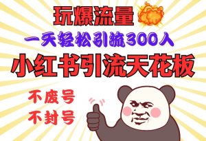 小红书引流天花板，玩爆流量，一天轻松引流300人，安全操作-数屿科技资源网