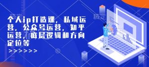 个人ip打造课，私域运营，公众号运营，知乎运营，底层逻辑和方向定位等-数屿科技资源网