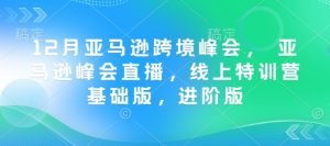 12月亚马逊跨境峰会， 亚马逊峰会直播，线上特训营基础版，进阶版-数屿科技资源网