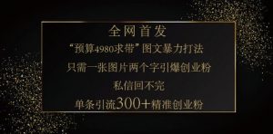小红书神奇图片引流法,只需一张图,就能单条笔记凭借此方法,轻松引流 300 + 精准创业粉-数屿科技资源网