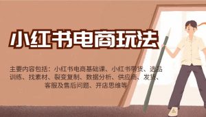 小红书电商玩法：带货/选品/找素材/裂变/数据分析/供应商/发货/售后/开店思维等-数屿科技资源网