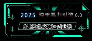 2025年快手6.0保姆级教程震撼来袭，单日狂吸300+精准创业粉-数屿科技资源网