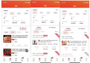 2025最新京东蓝海项目，0 门槛日入 1k+，小白宝妈轻松上手【揭秘】-数屿科技资源网