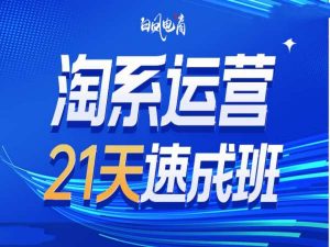 淘系运营21天速成班35期，年前最后一波和2025方向-数屿科技资源网