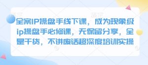全案IP操盘手线下课,成为现象级ip操盘手必修课,无保留分享,全是干货,不讲废话超深度培训实操-数屿科技资源网