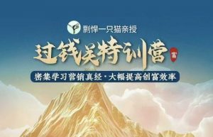 剽悍一只猫-过钱关特训营，学习营销真经 大幅度提高创富效率-数屿科技资源网