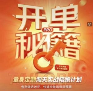 淘宝开单秘籍PRO，量身定制淘天实战陪跑计划，告别做店迷茫、快速突破运营瓶颈期-数屿科技资源网