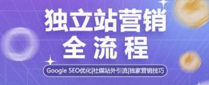 独立站营销全流程，Google SEO优化，社媒站外引流，独家营销技巧-数屿科技资源网