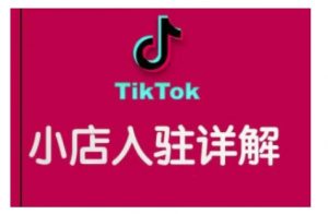 TikTok跨境小店运营全攻略，帮助你独立运营TK跨境小店的能力，实现销量增长-数屿科技资源网