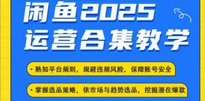 2025闲鱼电商运营全集，2025最新咸鱼玩法-数屿科技资源网