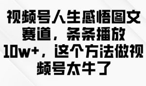 视频号人生感悟图文赛道，条条播放10w+，这个方法做视频号太牛了-数屿科技资源网