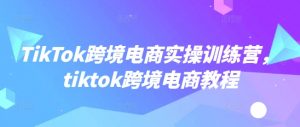 TikTok跨境电商实操训练营,tiktok跨境电商教程-数屿科技资源网