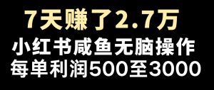 全网首发,7天赚了2.6万,2025利润超级高!-数屿科技资源网