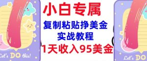 复制粘贴挣美金，0门槛，1天收入95美刀，3分钟学会，内部教程(首次公开)-数屿科技资源网