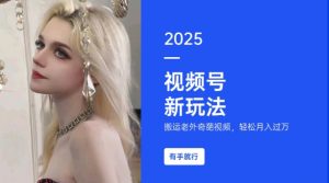 搬运老外奇葩视频，撸视频号分成计划收益，每天只需一小时，新手小白轻松月入过W-数屿科技资源网