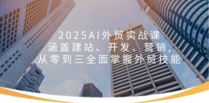 2025AI外贸实战课：涵盖建站、开发、营销, 从零到三全面掌握外贸技能-数屿科技资源网