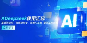 DeepSeek使用汇总,基础到进阶,提示词技巧,掌握AI工具 提升工作效率-数屿科技资源网