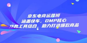 京东电商运营班：涵盖快车，DMP核心及各工具组合，助力打造爆款商品-数屿科技资源网