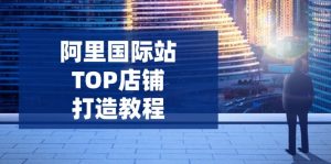 阿里国际站TOP店铺打造教程：涵盖平台到高阶，解决运营难题，提升询盘-数屿科技资源网