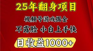 一天收益1000+ 25年开年落地好项目-数屿科技资源网