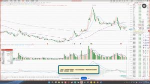 大师兄·鹿鼎山系列内部课程(更新2025年1月)-数屿科技资源网